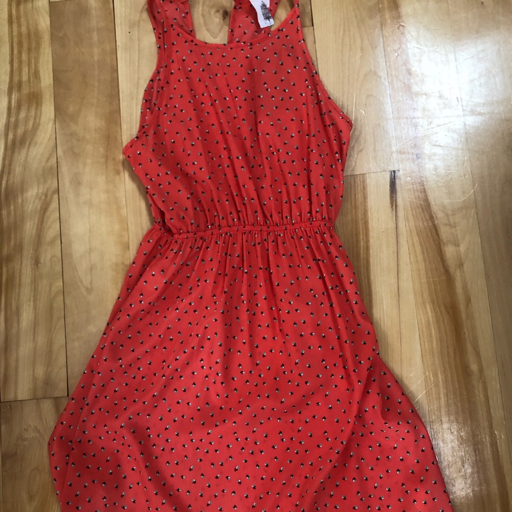 Brand New Francesca’s Dress